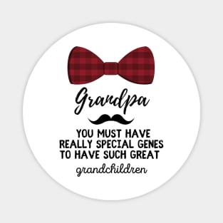 Grandpa. Grandfather, Grandparents Magnet